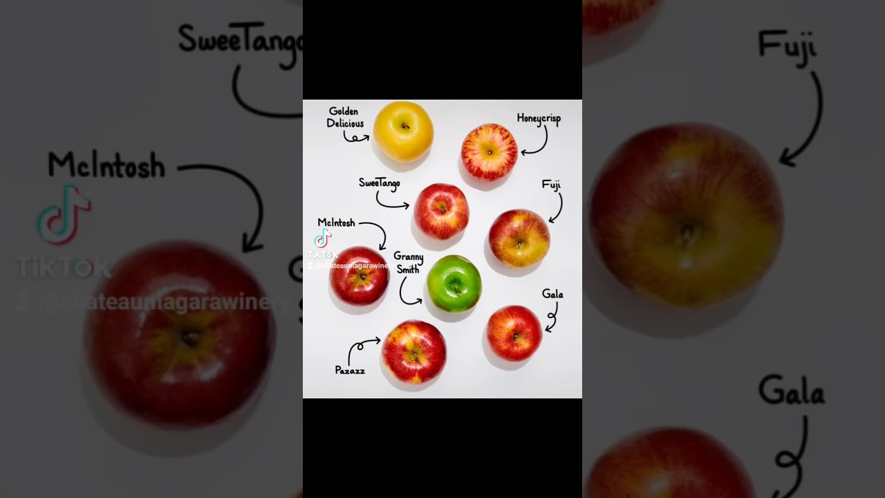 🤓Wine Nerd Moment🤓 How Cold Climate Wines differ from Warm to Hot Climate Wines. 