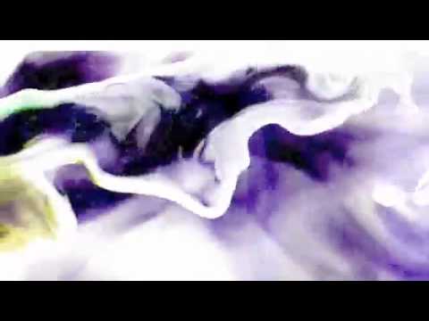 Avey Tare - Oliver Twist