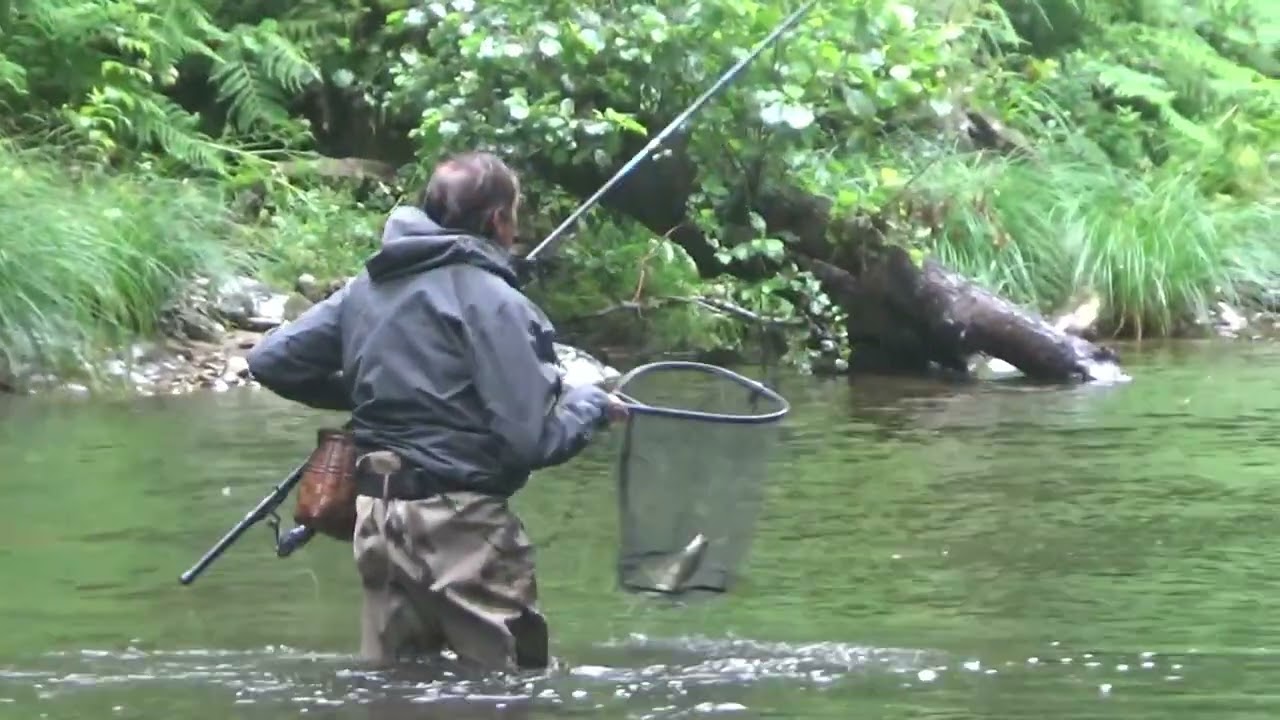 Pescando Truchas en El Coto La Central en el Río Esva en Asturias Paraíso Natural