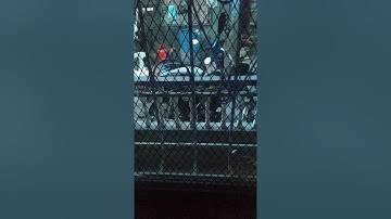 Bird fight his mirror image "every day routine"