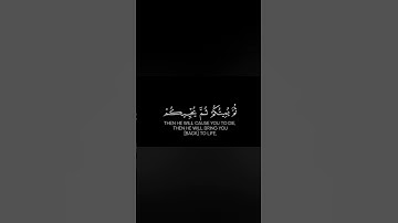 الذين ينقضون عهد الله من بعد ميثاقه | الشيخ د. #ماهر_المعيقلي #سورة_البقرة| كروما شاشة سوداء قرآن