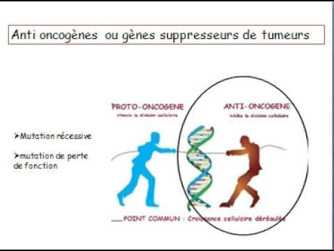 Vidéo: Cancers Et Tumeurs Chez Les Oiseaux