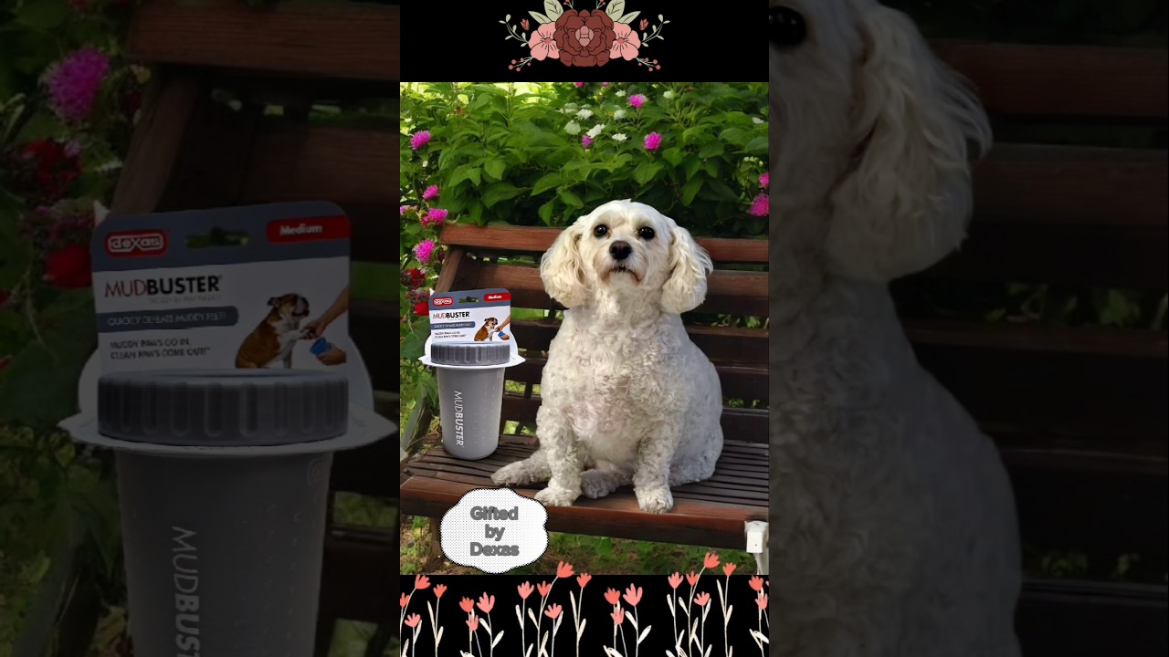 DEXAS MUDBUSTER Quickly cleans your fur babies dirty paws! 