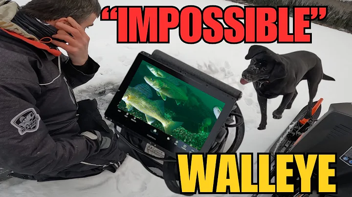 Catching FIRST Ice Walleye That Make Me Want To Quit (2025-2026)