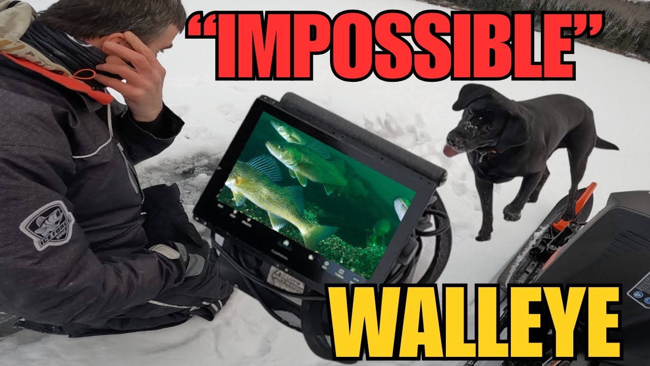 Поймали ПЕРВОГО судака на льду, после поимки которого мне захотелось бросить рыбалку (2025-2026)