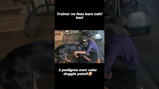 @pedigreeindia1533 Jugni accepts for Personal Training sessions