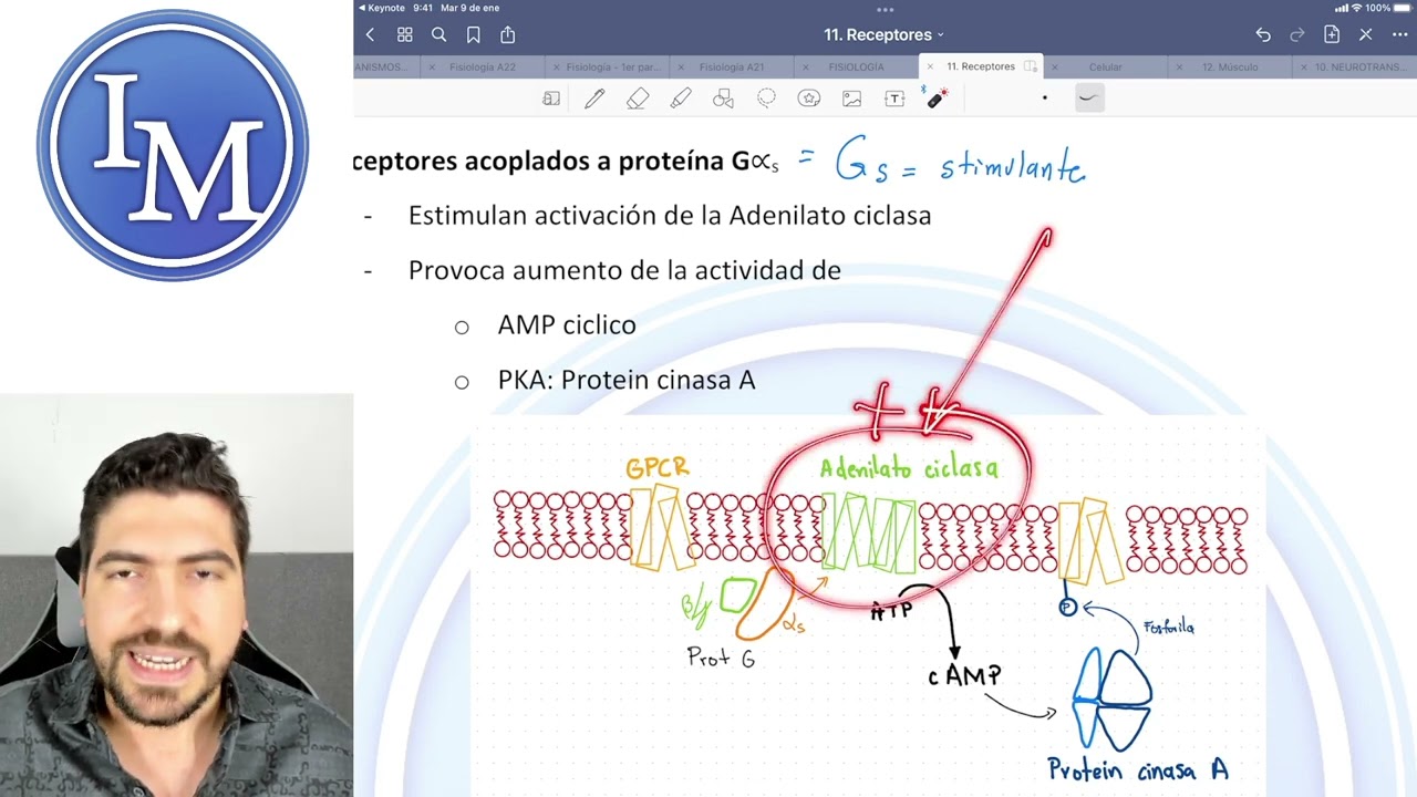Fisiología clase 11 | Receptores, Transducción Celular y Comunicación Celular