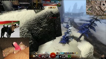 Guild Wars 2 GW2 Sylghost thief roaming AngryAaron part 15