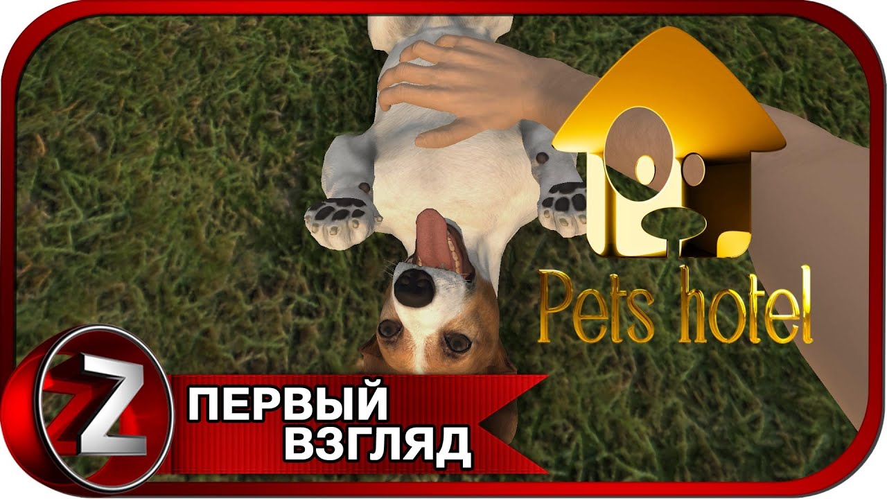 Pets Hotel Отель домашних животных Первый Взгляд YouTube