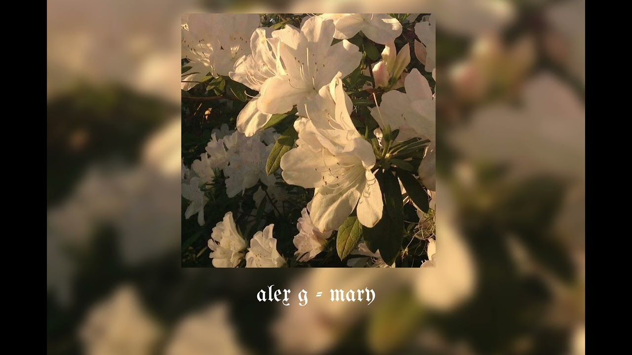 //a playlist to calm down// 22 minutes