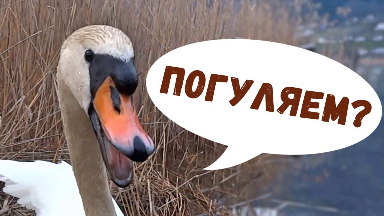 Машина с лебедем
