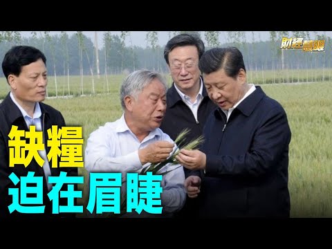 中国耕地种粮太难！“非粮化”难遏制 生态破坏威胁食品安全