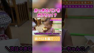 ひーちゃんの日常 - YouTube