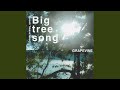 Big tree song (Hiroshi Takano Remix)