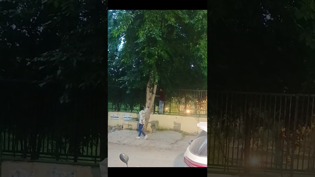 Bina paiso ke kota city park mai entry 🤣🤣|| 