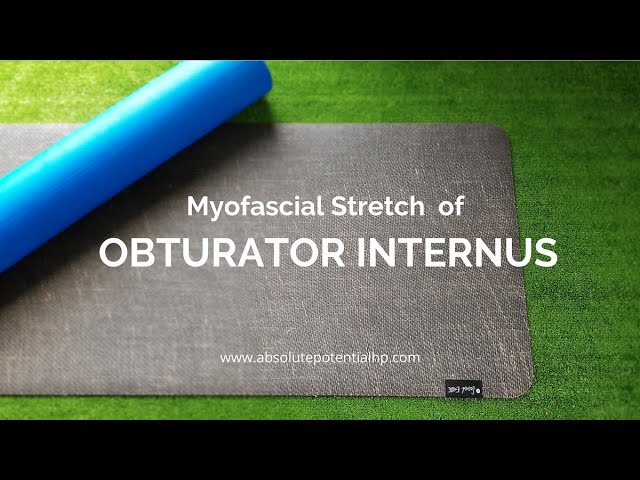 Myofascial Stretch of the External Oblique 