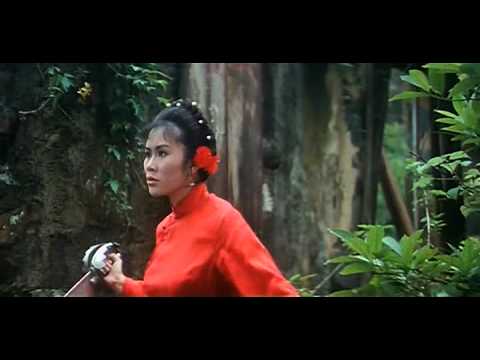 Kirli Kaplan İle Çılgın Kurbağa Türkçe Full Kung Fu Film