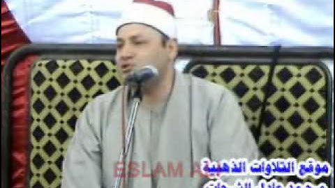 مقطع رائع الشيخ محمود صابر سورة النمل