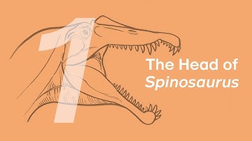 Essien the Spinosaurus 1: The Head | Learn to Draw Dinosaurs with ZHAO Chuang