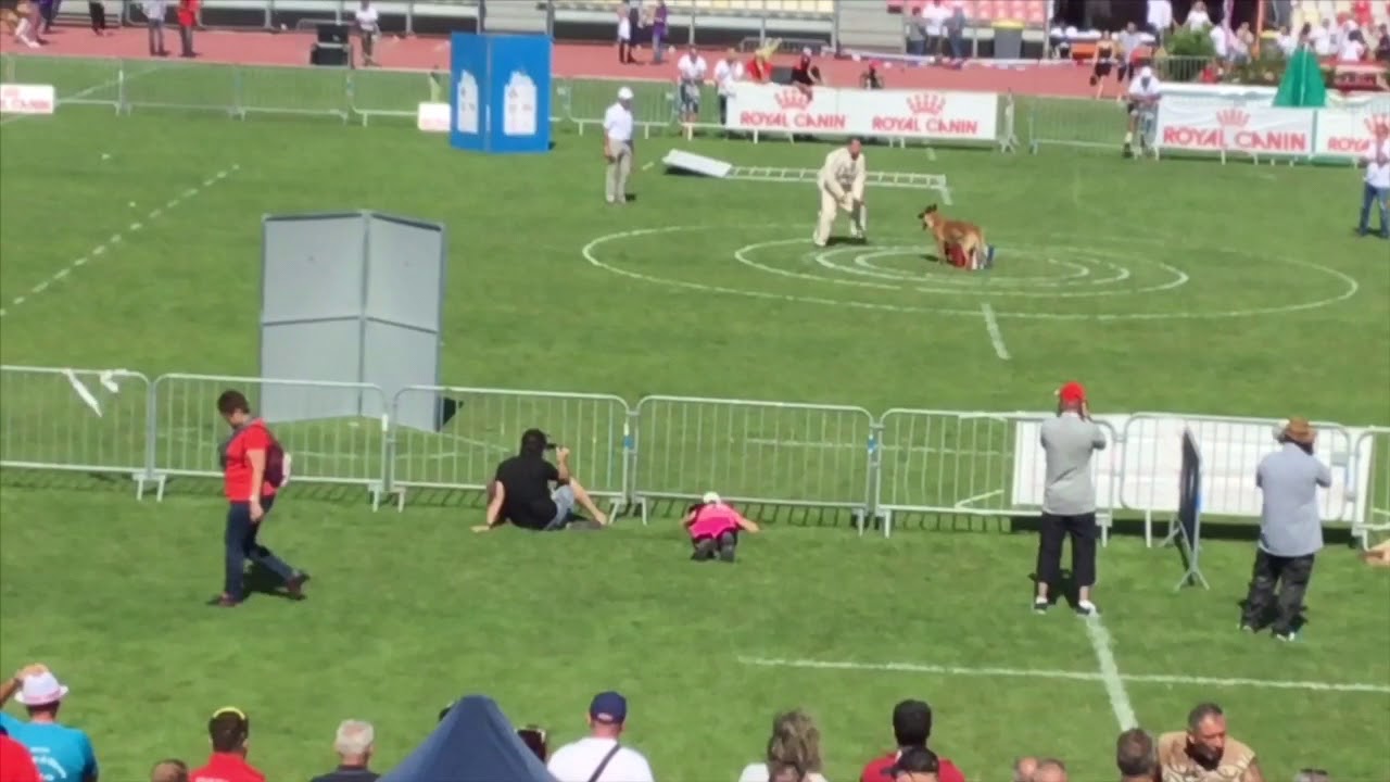 Timothee Leconte et jiujitsu du Calvaire Aux Acacias
