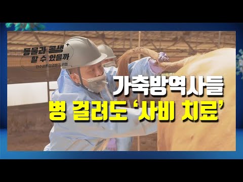 영상썸네일