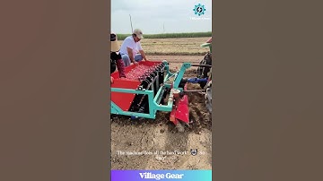 Garlic Planting on EASY Mode! 😂This Machine is a GENIUS Invention You Have to See! #garlic #farming