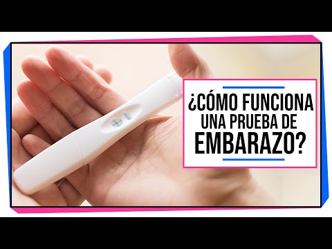 Video: ¿Funcionan las pruebas de embarazo más adelante en el embarazo?