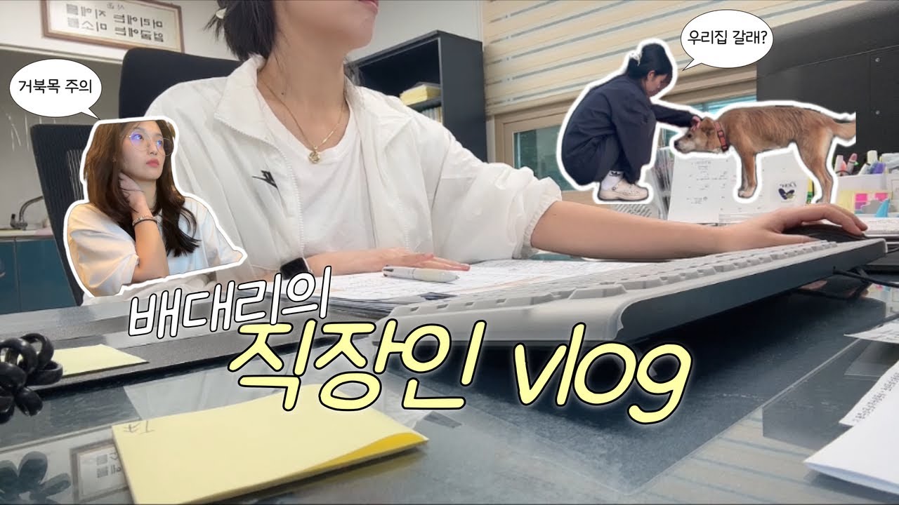 [vlog] 직장인 브이로그👩🏻‍💻 | 배대리의 야근 일상 | 회계 , 인사, 총무 업무 | 퇴근 후 일상| 반려견 일상