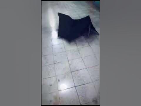 редан паук - YouTube