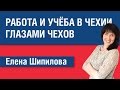 Работа и учеба в Чехии глазами чехов. Елена Шипилова.