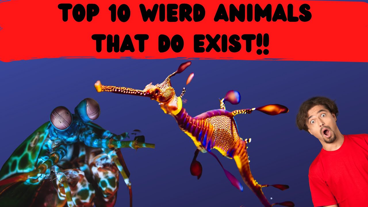 TOP 10 WEIRD ANIMALS THAT ACTUALLY EXIST!! WORLD'S MOST STRANGE