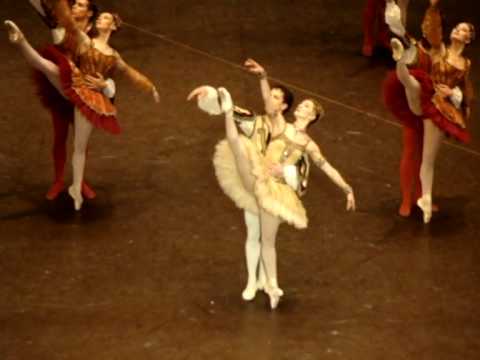 Stephane Bullion-Agnes Letestu in Raymonda Acte 3