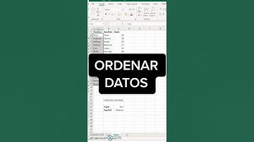 Como ordenar datos de Nombre, Apellido y Edad en Excel