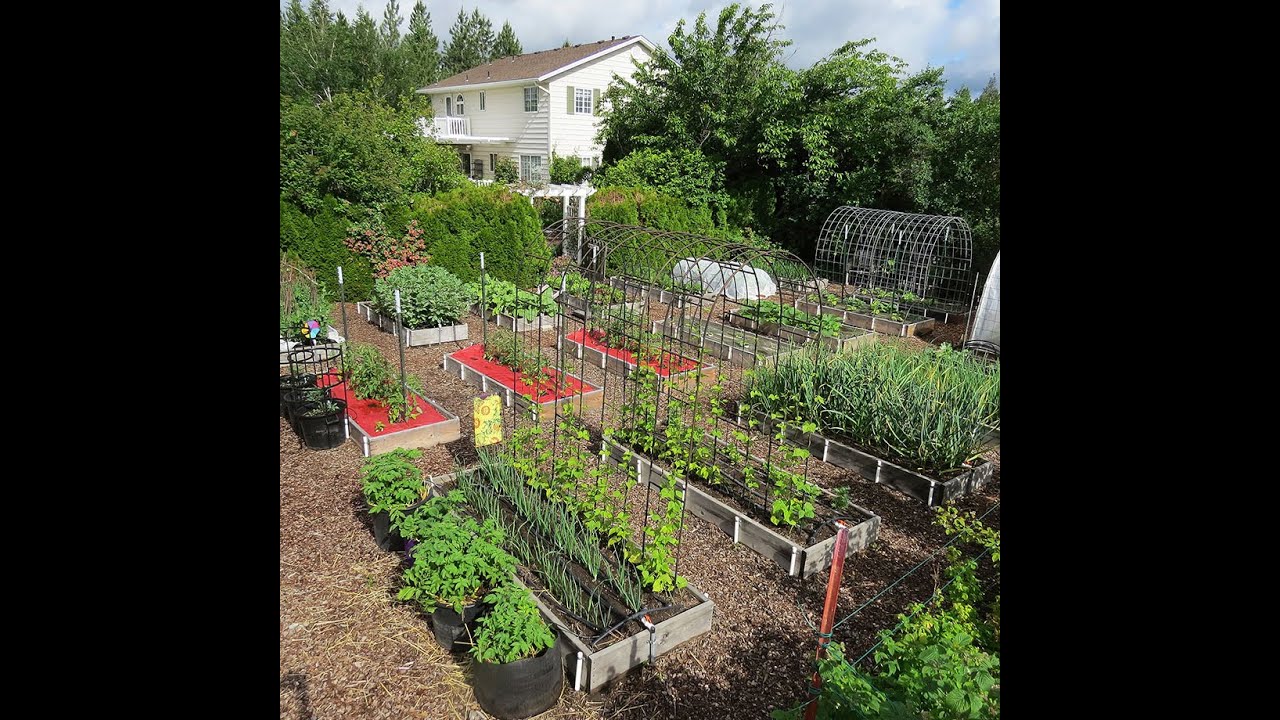 Raised Bed Gardening (Everyone Can Grow a Garden 2023 #13)