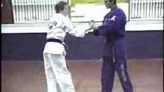 Hapkido Flowing a Wrist break off to a snake Hapkido