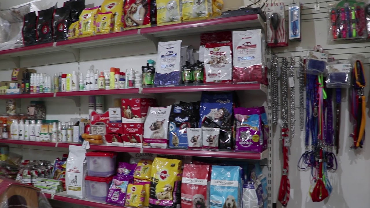 R.K. Pet Shop & Fish Aquariums 9999518820