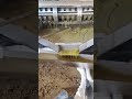 6YL-160: 300-600 kg/h Screw oil presser cold press peanut oil moment #oilpressmachine