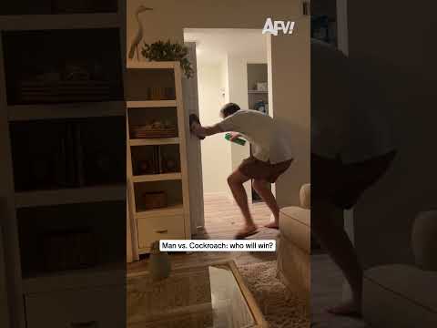 Man vs. Cockroach: who will win?