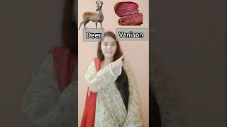 Did you know this before? #englishvocabmastery #Animal'smeat #learnenglish #english #shorts