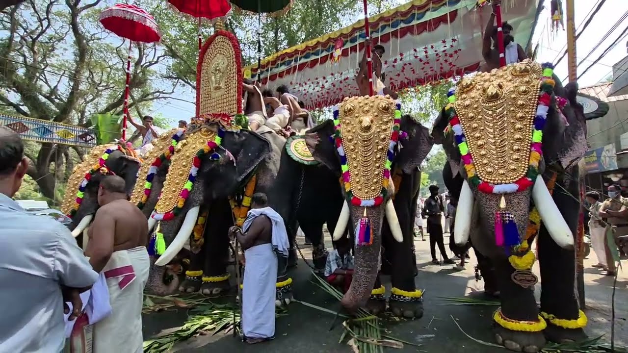 കൊടുങ്ങല്ലൂർ താലപ്പൊലി 2026 | Kodungallur Thalappoli 2026