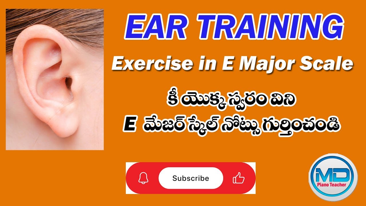 Ear training exercise in E major Scale Guess the Notes | The SECRET To Playing Any Song by Ear