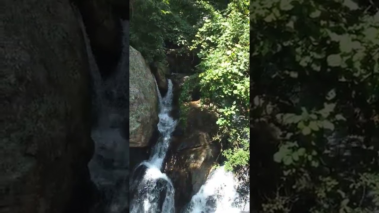 Valparai Monkey Falls