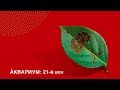 ÅКВАРИУМ: 21-й век (2012) compilation