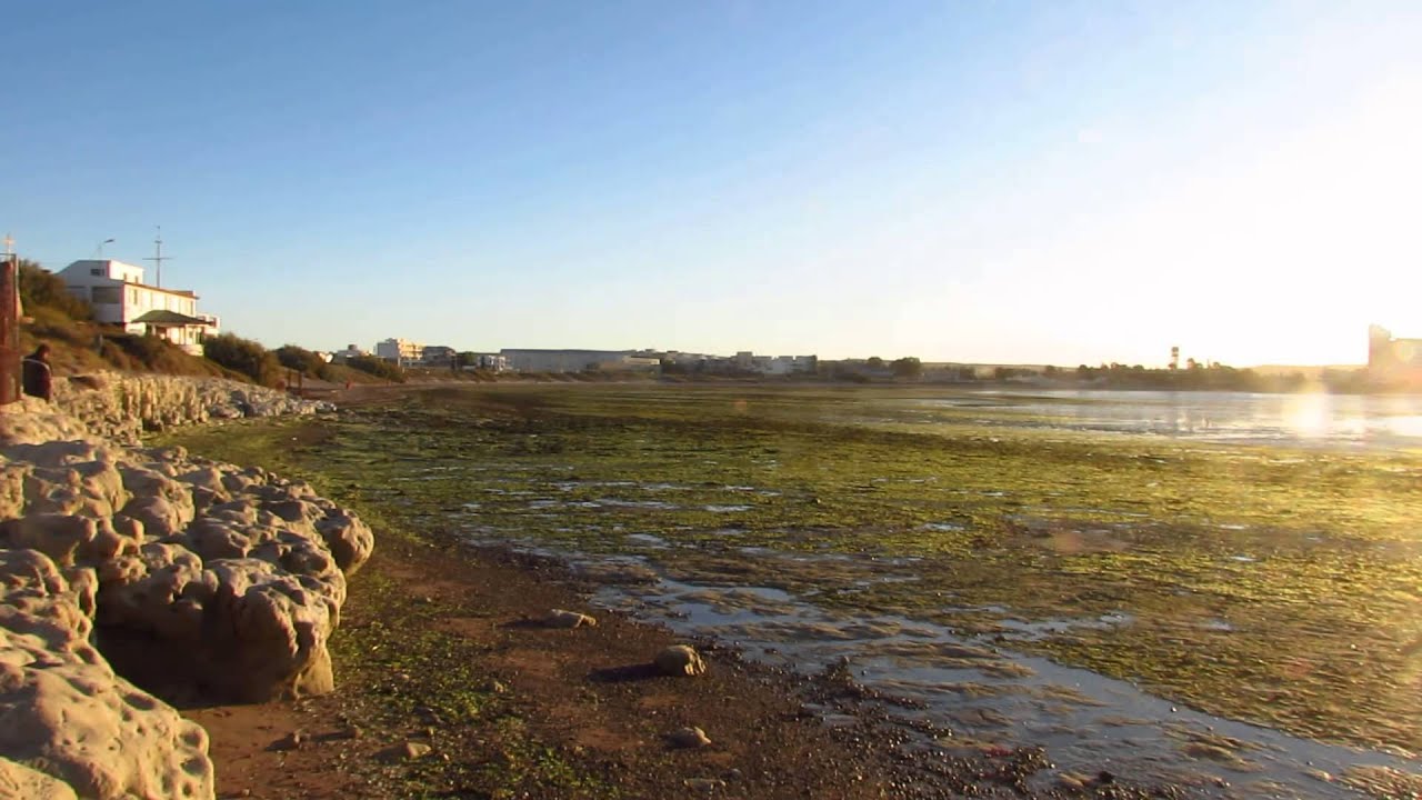 Punta Cuevas en Puerto Madryn