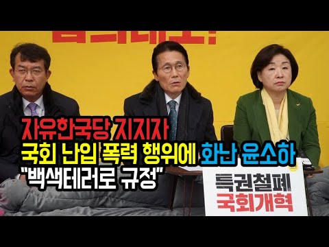 자유한국당 지지자 국회 난입 폭력 행위에 화난 <strong>윤소하</strong> “백색테러로 규정”