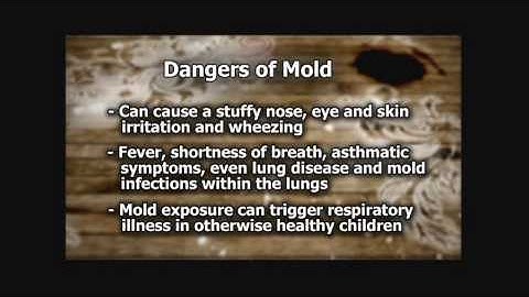 Mold