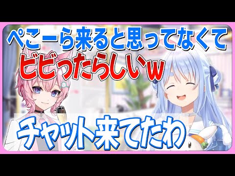 【3/29】義理と人情を重んじるぺこら姫の裏話【さくらみこ/ときのそら/風真いろは/カエラ・コヴァルスキア/角巻わため/兎田ぺこら/博衣こより/ホロライブ切り抜き】