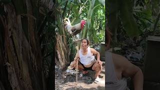 #shortvideo #goodvibes #youtubeshorts #youtubevideo #youtube