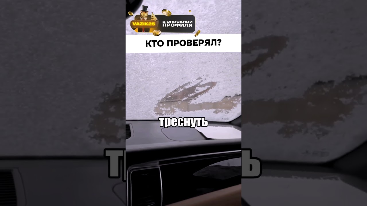 Он показал самый лучший способ убрать снег с лобового😂