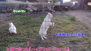 余ったフェンスで、誰でも簡単、キャットラン（ペット－フェンス）　さらに、 簡単収納、持ち運び、購入/例:ヤフーショッピング